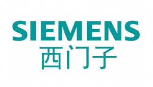 宜宾丝丽雅集团